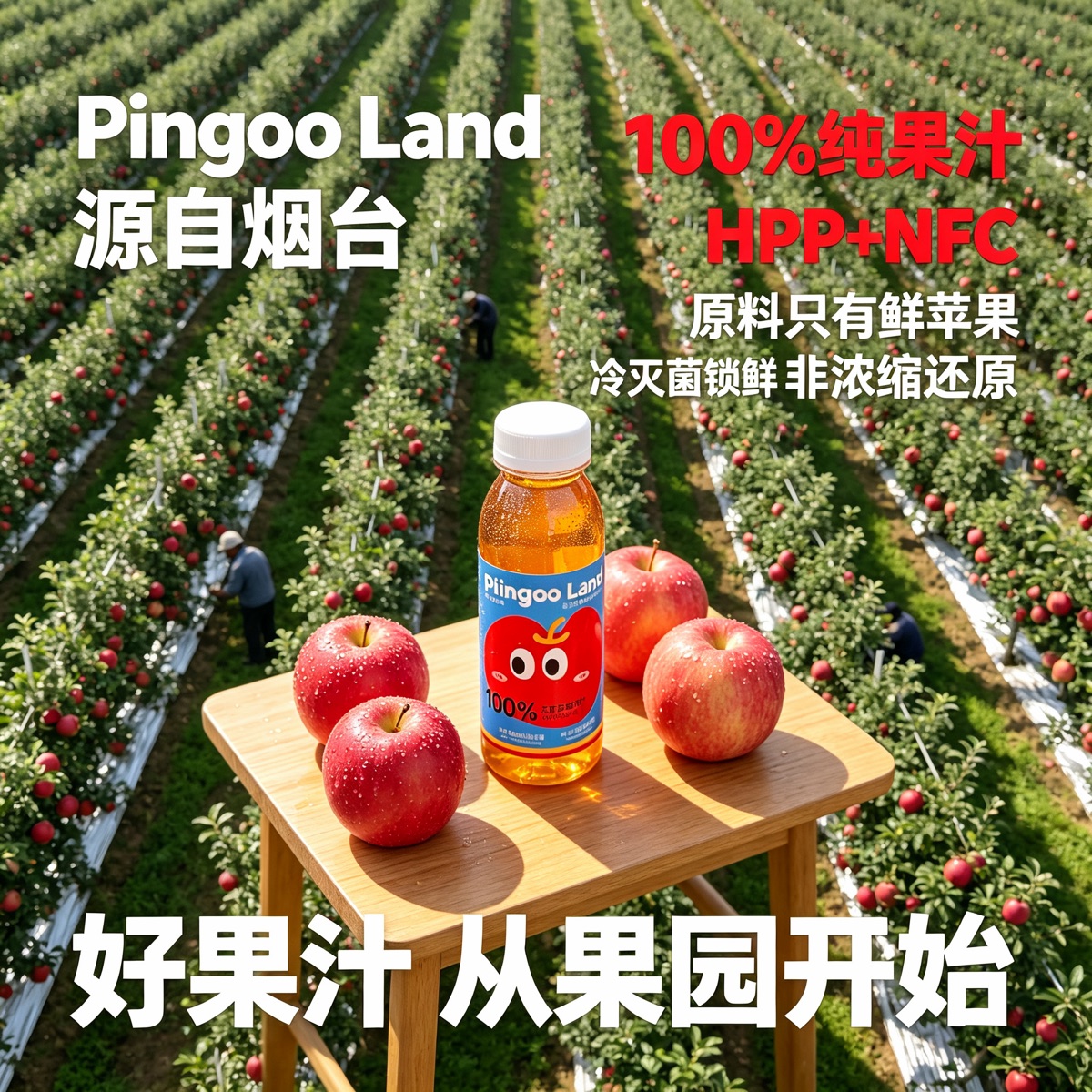 B 果园加产品